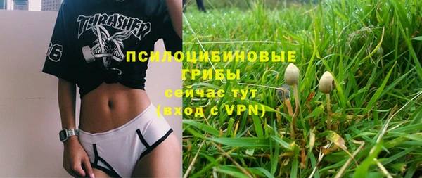 эйфоретик Заводоуковск