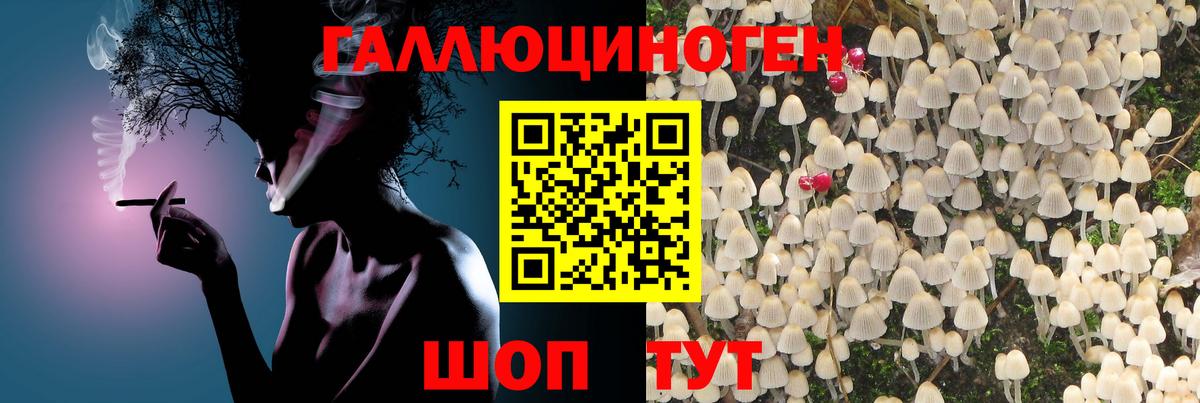 Радужный  Псилоцибиновые грибы прущие грибы  Вход с VPN 