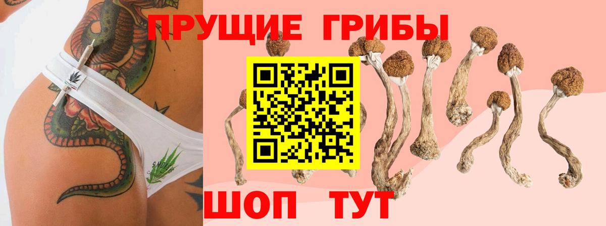 Псилоцибиновые грибы мицелий Радужный