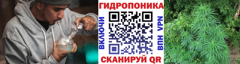 купить наркотик  Радужный  Конопля VHQ 